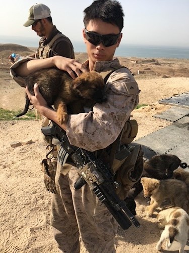 Nick Steele Military Photo